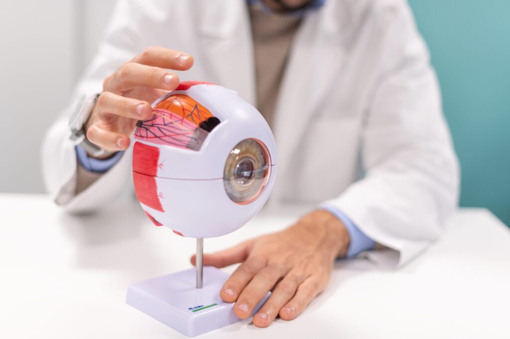 Dott. Luca Zanolini, oculista a Brescia, Montichiari e Manerbio, mentre spiega l'anatomia dell'occhio durante una visita oculistica