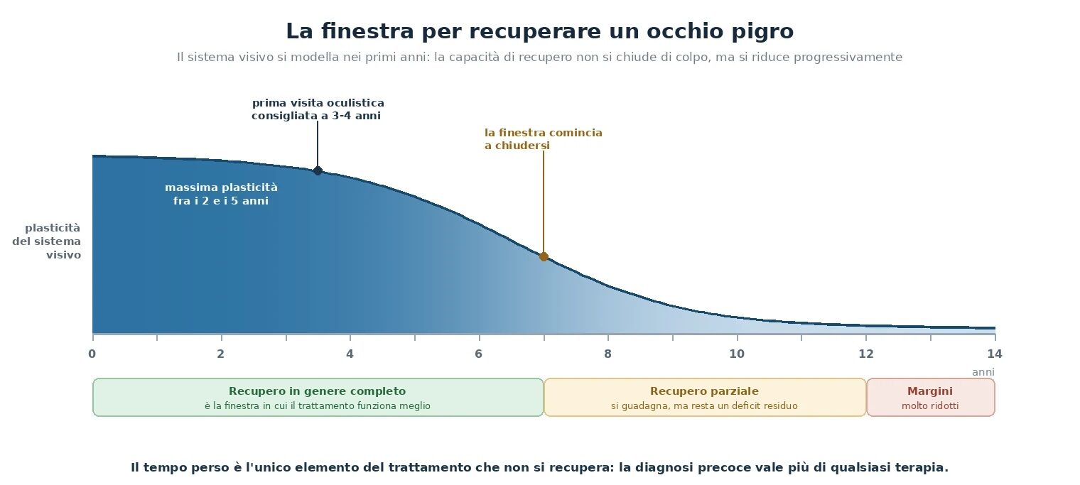 Grafico della plasticità del sistema visivo dalla nascita ai 14 anni: massima fra i 2 e i 5 anni, in riduzione progressiva dopo i 7, con recupero in genere completo entro i 7 anni, parziale fra i 7 e i 12 e margini molto ridotti oltre i 12