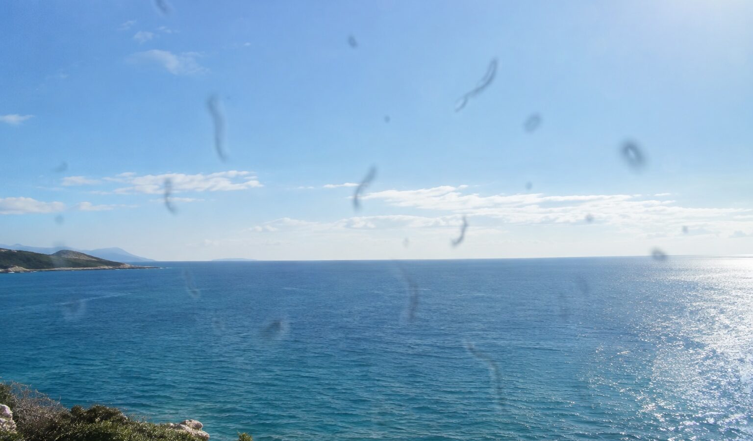 Come appaiono le mosche volanti